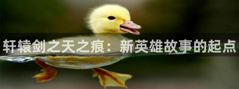 尊龙凯时首页