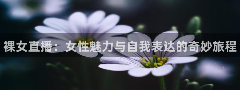乐球直播免费看：裸女直播：女性魅力与自我表达的奇妙旅程